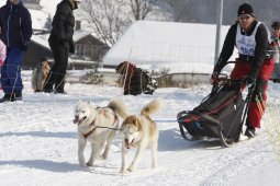 Lenk 2012 SM